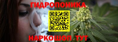 Альфа ПВП Пушкино